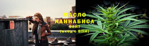 сатива Надым