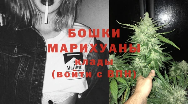 индика Нефтегорск