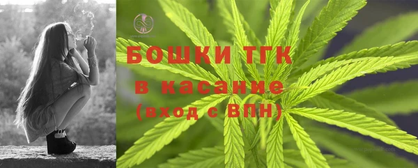 сатива Надым